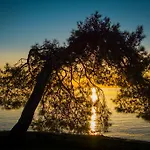 Hébergement de vacances Sofia