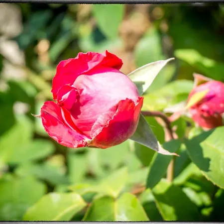 Holiday home Holiday Sofia *