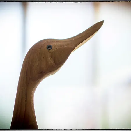 Sofia Nyaraló Poreč