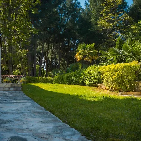 Sofia Σπίτι διακοπών