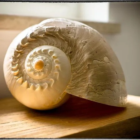 Nyaraló Sofia Poreč