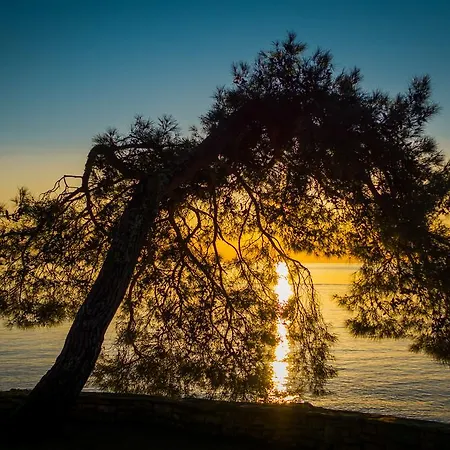 Σπίτι διακοπών Sofia