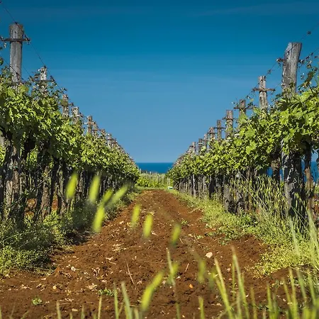 Nyaraló Sofia Poreč