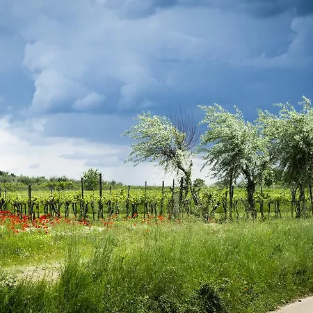 Sofia Σπίτι διακοπών