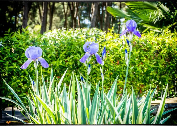 Holiday Sofia Ferienhaus *