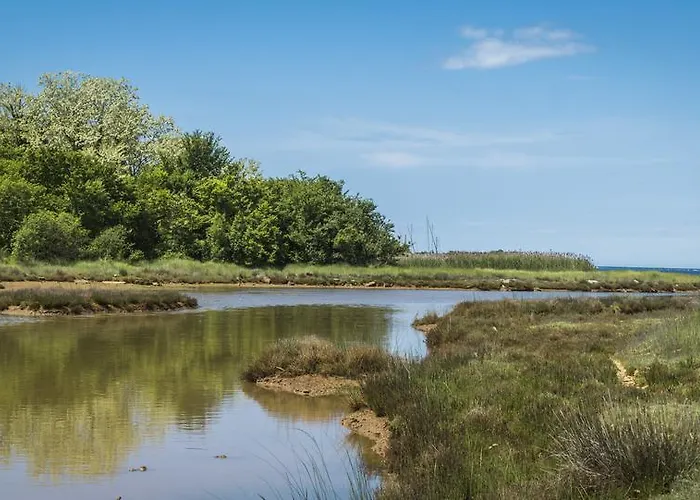 Дом отдыха Sofia *