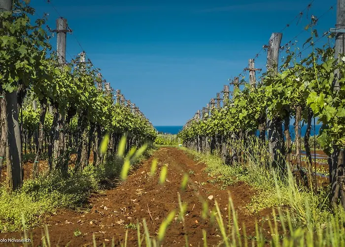 Дом отдыха Sofia Пореч