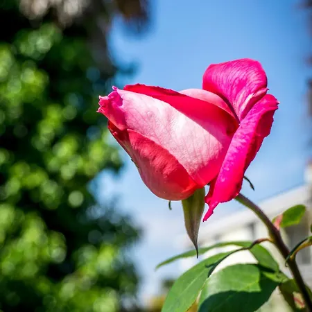 Vikendica Holiday Sofia