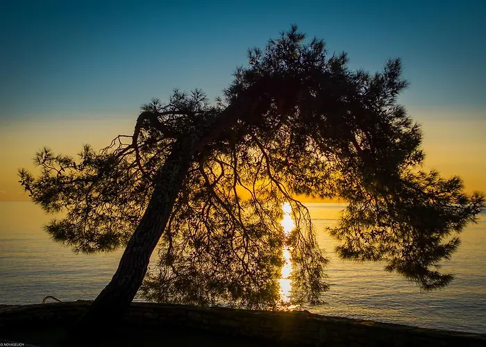 בית נופש Sofia