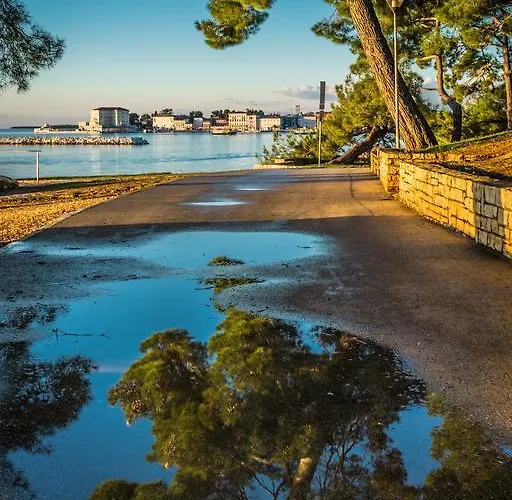 Sofia בית נופש